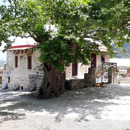 Traditional House Koukounara Kíssamos Exteriér fotografie