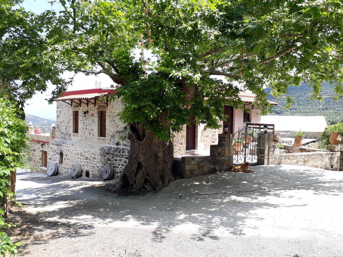Traditional House Koukounara Kíssamos Exteriér fotografie